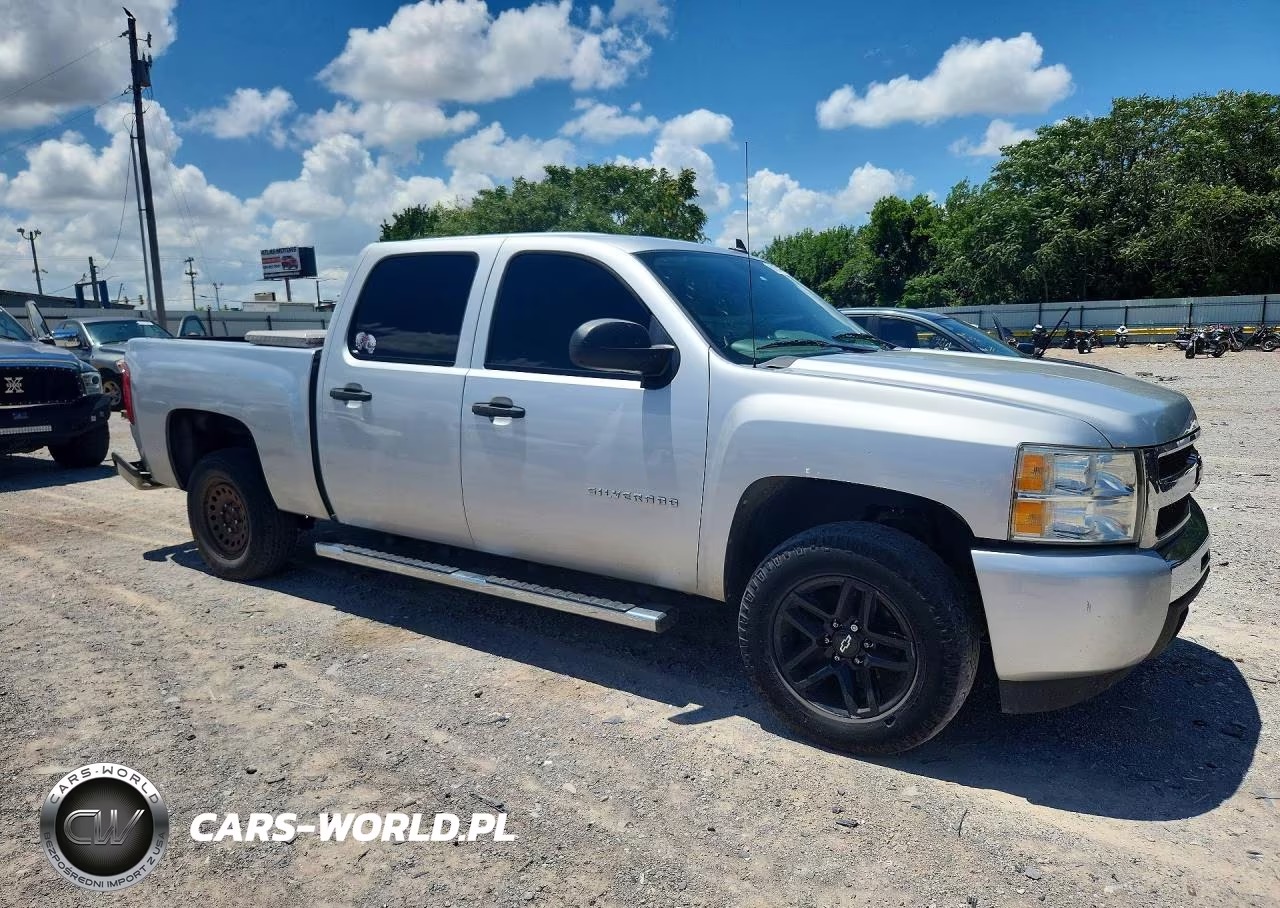 2010 Chevrolet Silverado C1500 Ls VIN:3GCRCREA1AG258657 - 4