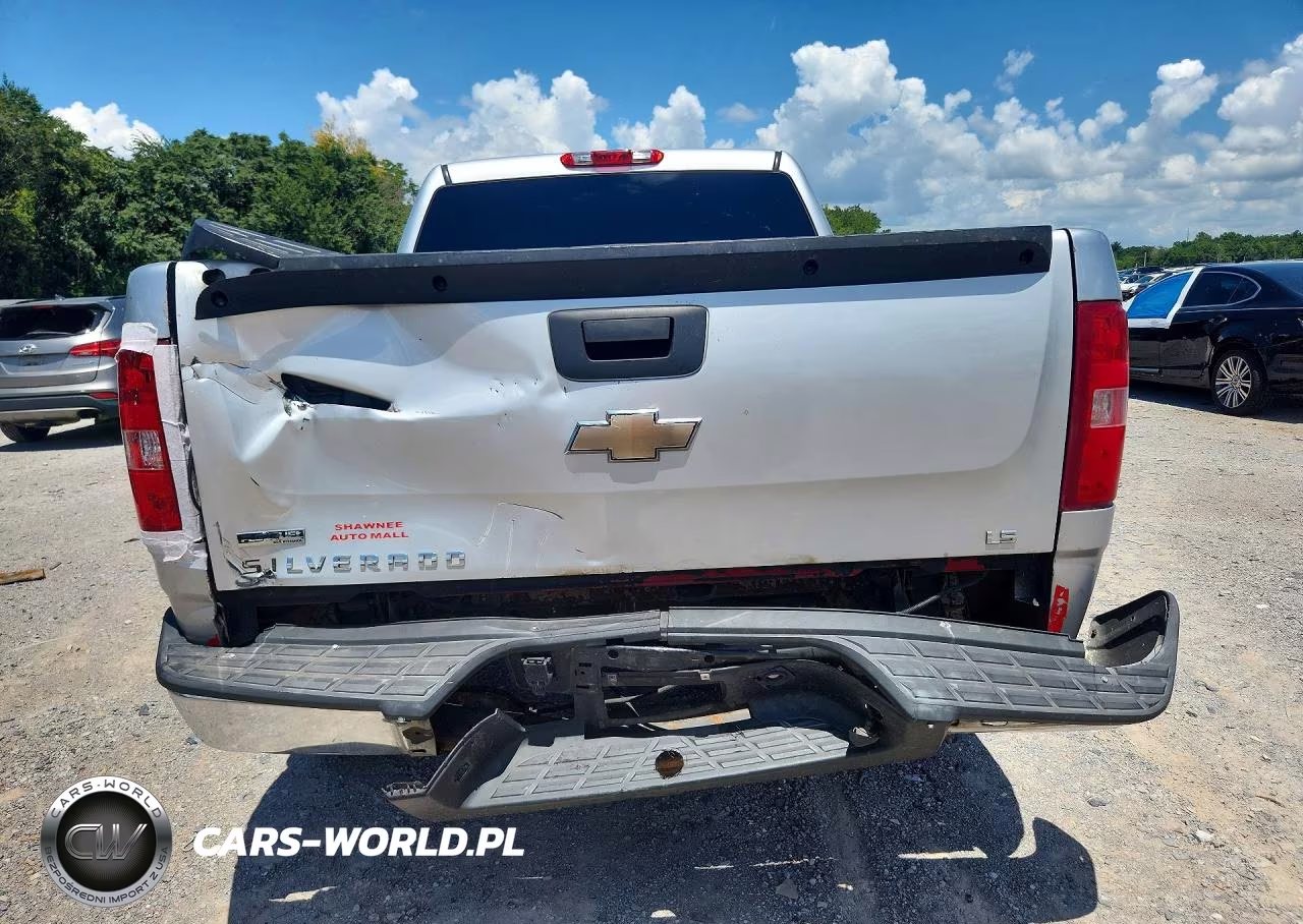 2010 Chevrolet Silverado C1500 Ls VIN:3GCRCREA1AG258657 - 6