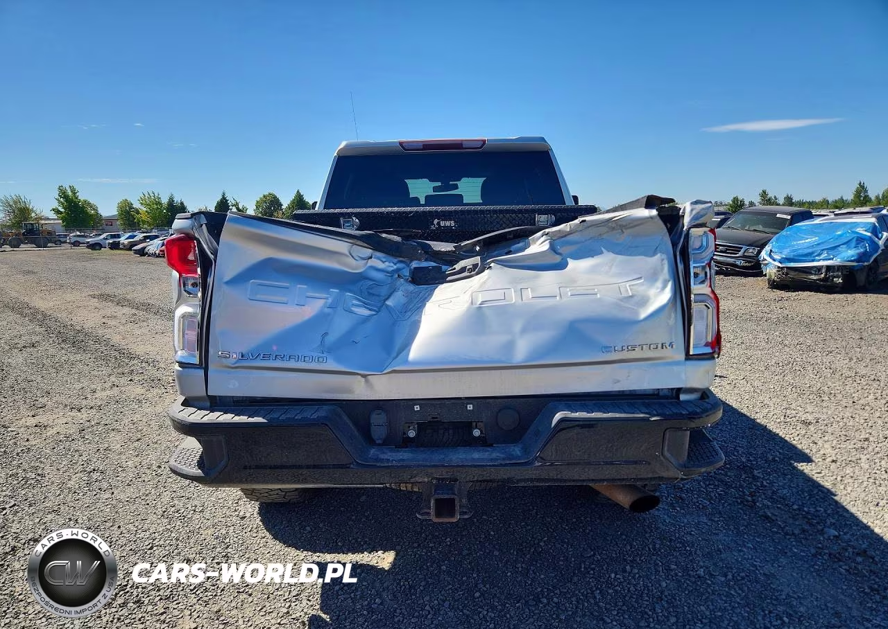 2020 Chevrolet Silverado K2500 Custom VIN:1GC4YME77LF303656 - 6
