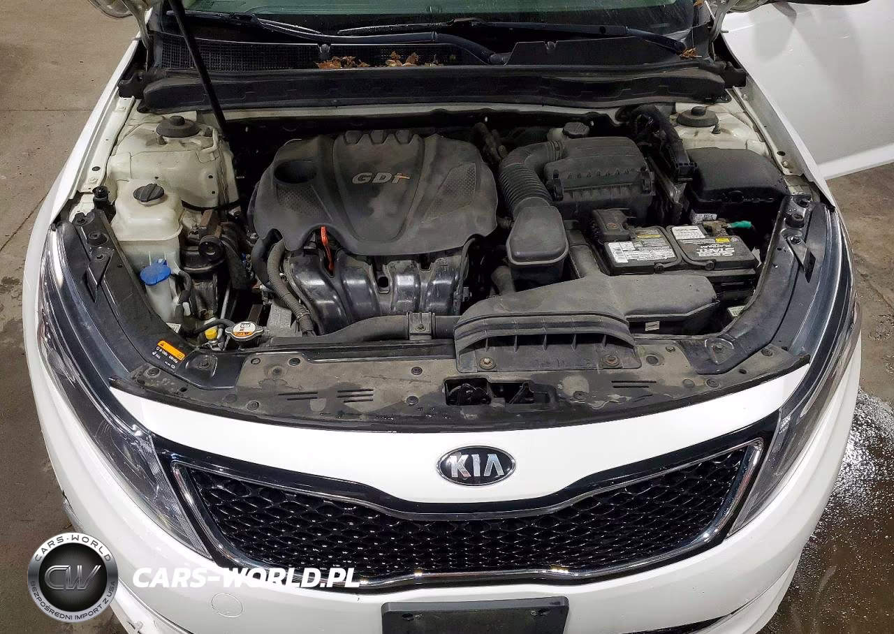 2014 Kia Optima Lx VIN:KNAGM4A7XE5501006 - 11