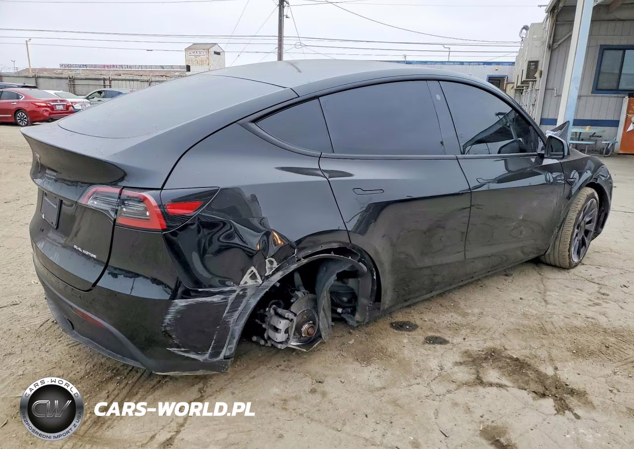 2023 Tesla Model Y VIN:7SAYGDEE0PA109905 - 3