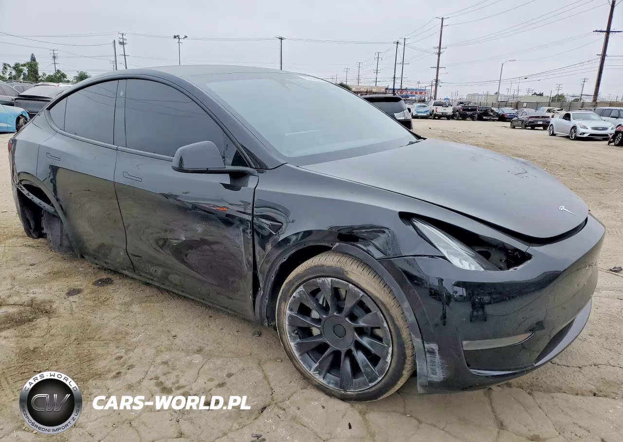 2023 Tesla Model Y VIN:7SAYGDEE0PA109905 - 4