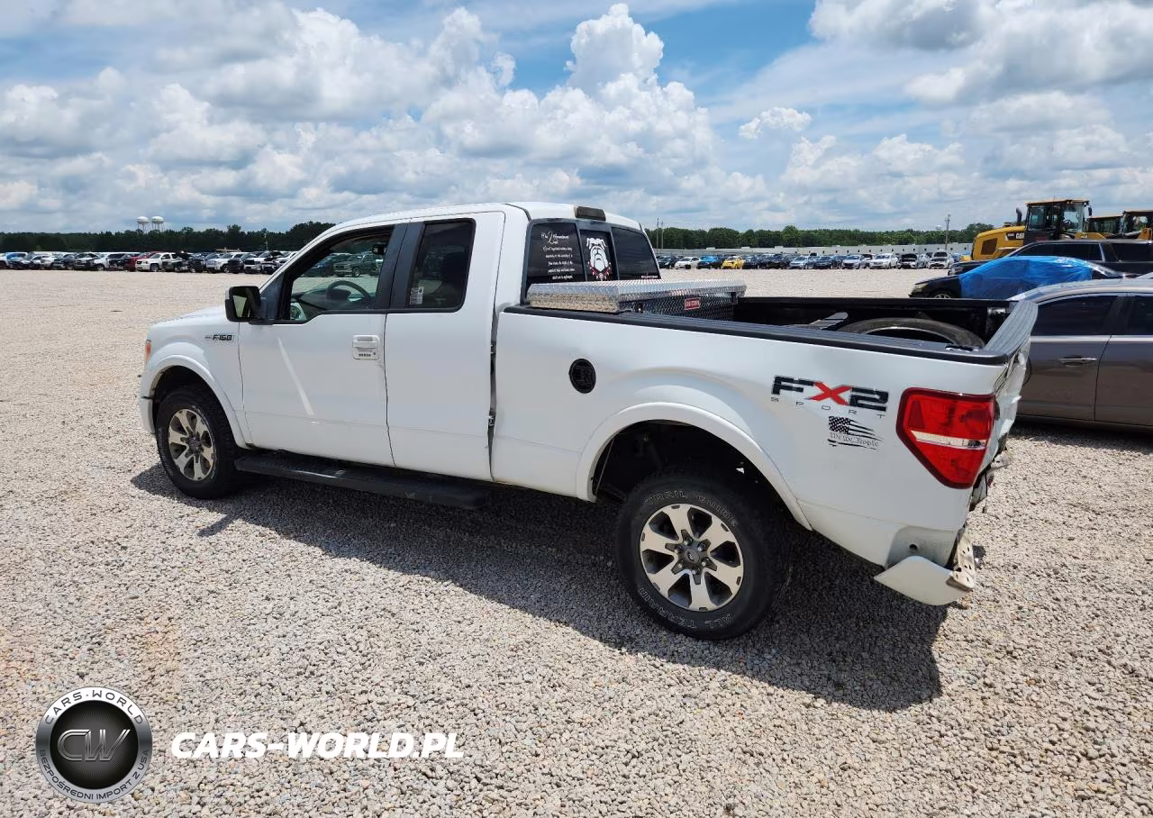 2010 Ford F150 Super Cab VIN:1FTEX1C82AKE57195 - 2