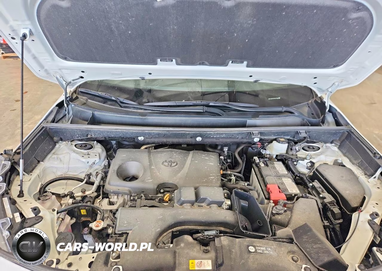 2025 Toyota Rav4 Xle VIN:2T3W1RFV8SC326854 - 11