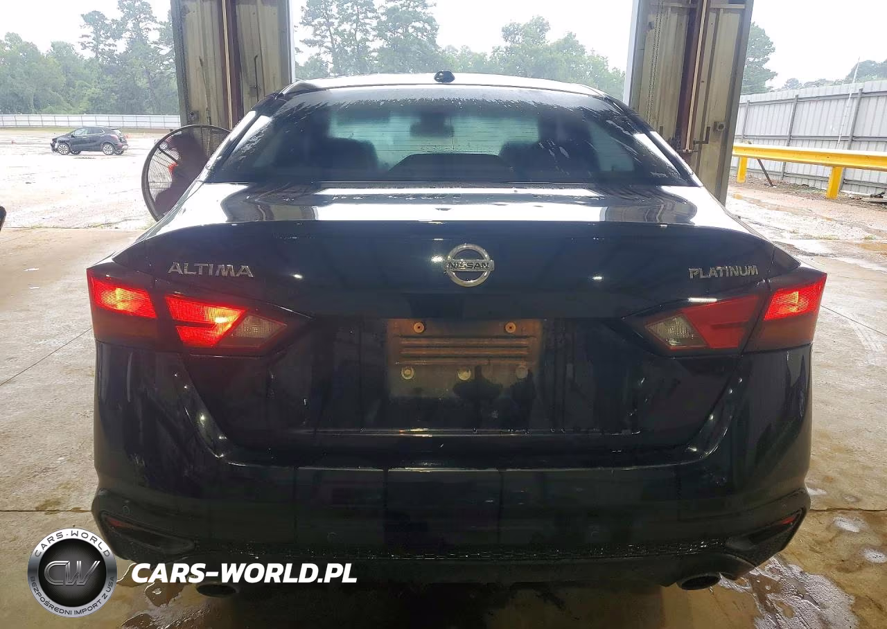 2019 Nissan Altima Platinum VIN:1N4BL4FV2KC107570 - 6