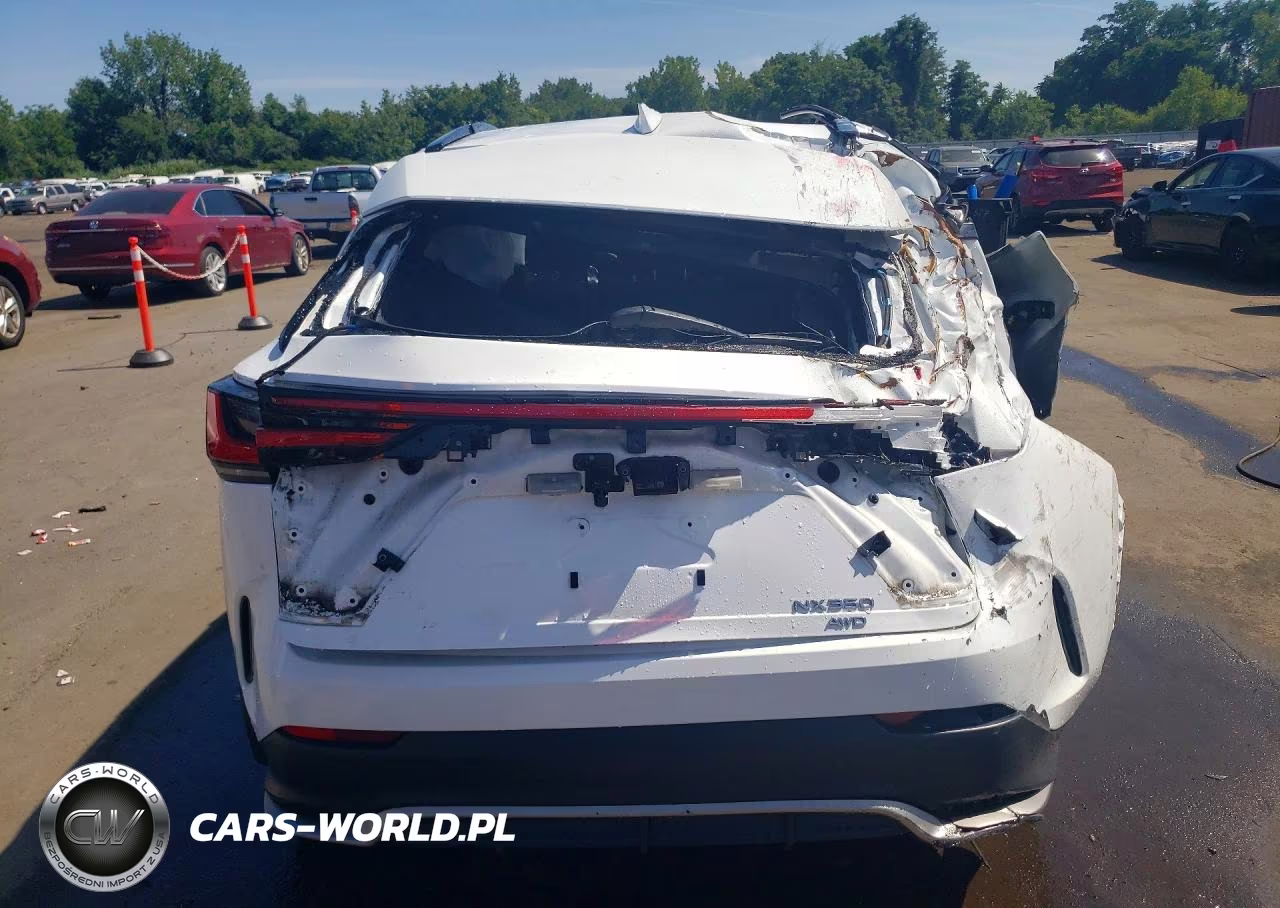 2024 Lexus Nx 350 F Sport Handling VIN:2T2KGCEZ2RC058512 - 6
