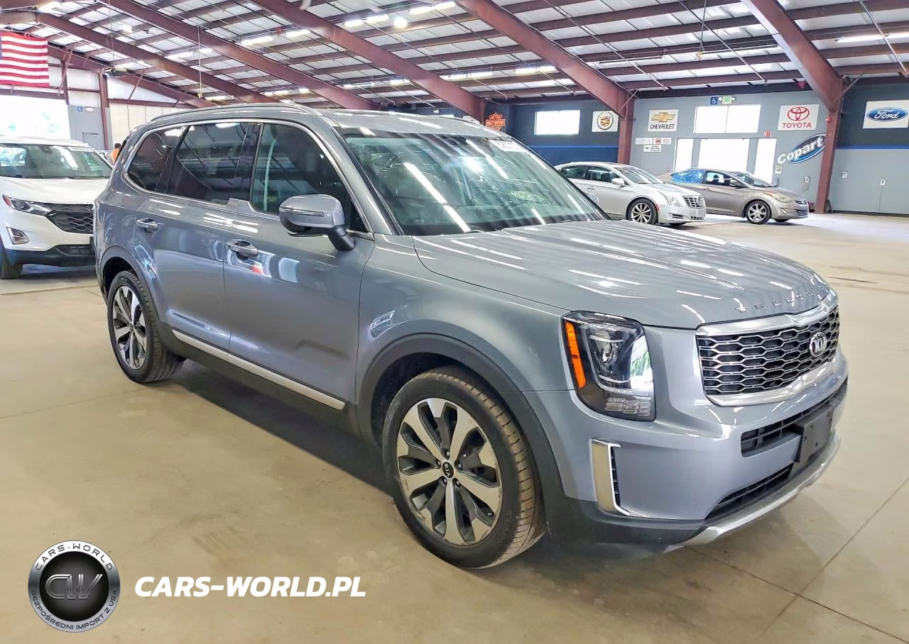 2020 Kia Telluride S VIN:5XYP6DHC5LG011125 - 4