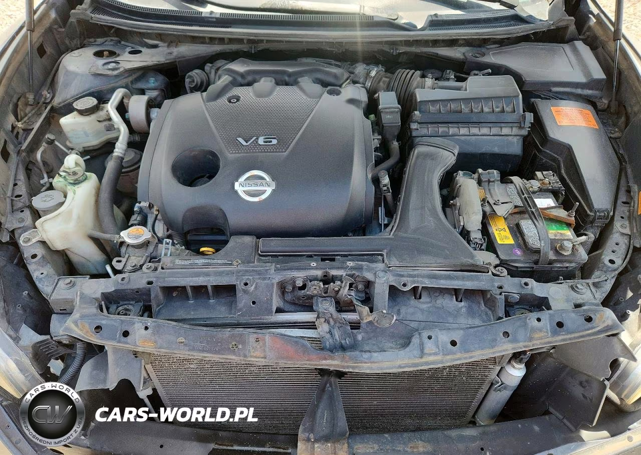 2009 Nissan Maxima 3.5 S VIN:1N4AA51E89C829117 - 11