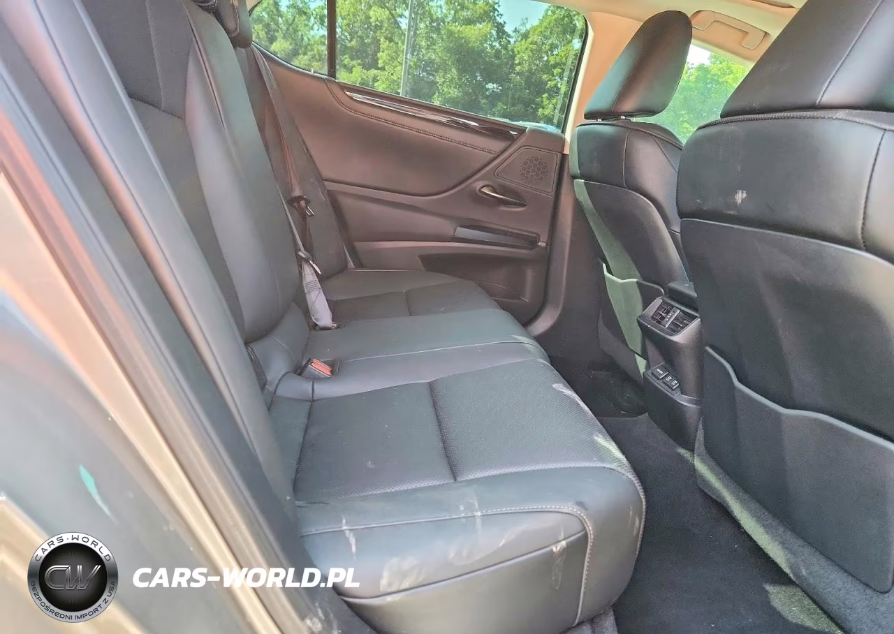 2020 Lexus Es 350 VIN:58ADZ1B15LU069299 - 10