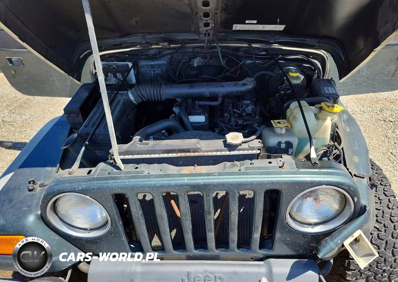 2002 Jeep Wrangler - Tj Sport VIN:1J4FA49S82P759731 - 12