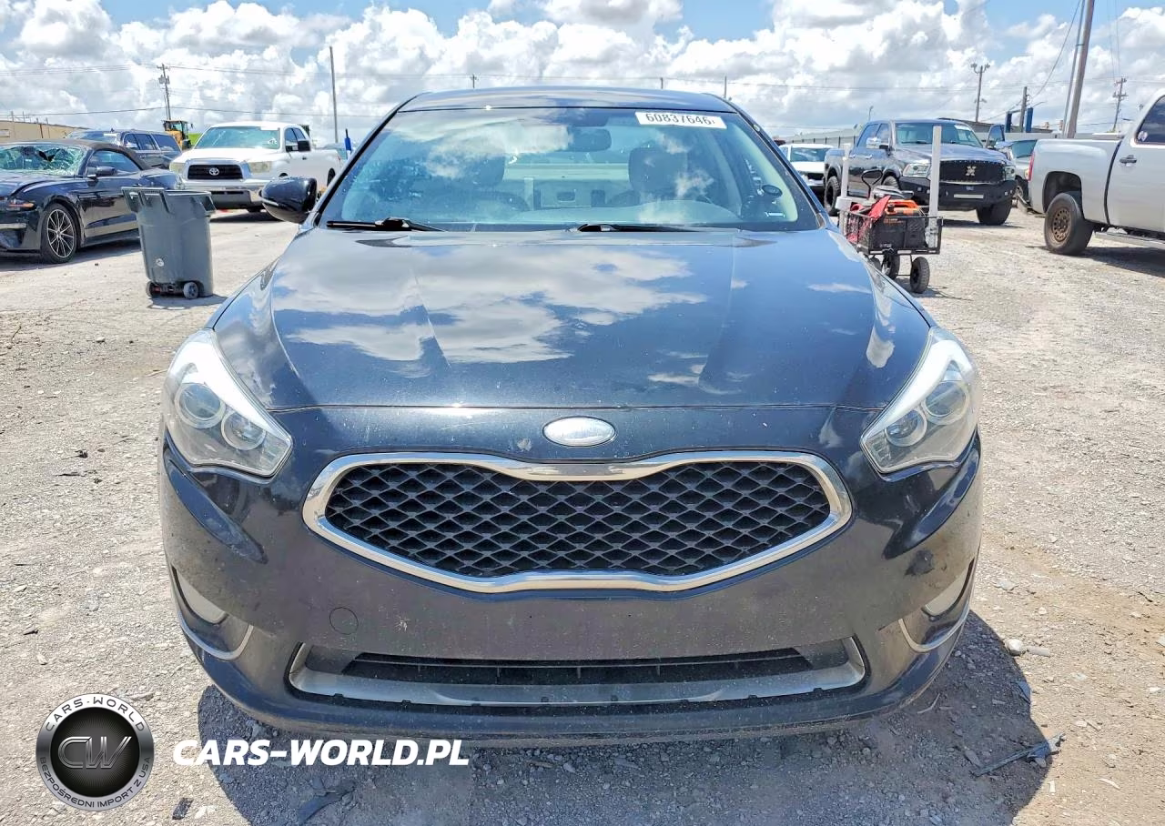 2014 Kia Cadenza Premium VIN:KNALN4D76E5149047 - 5