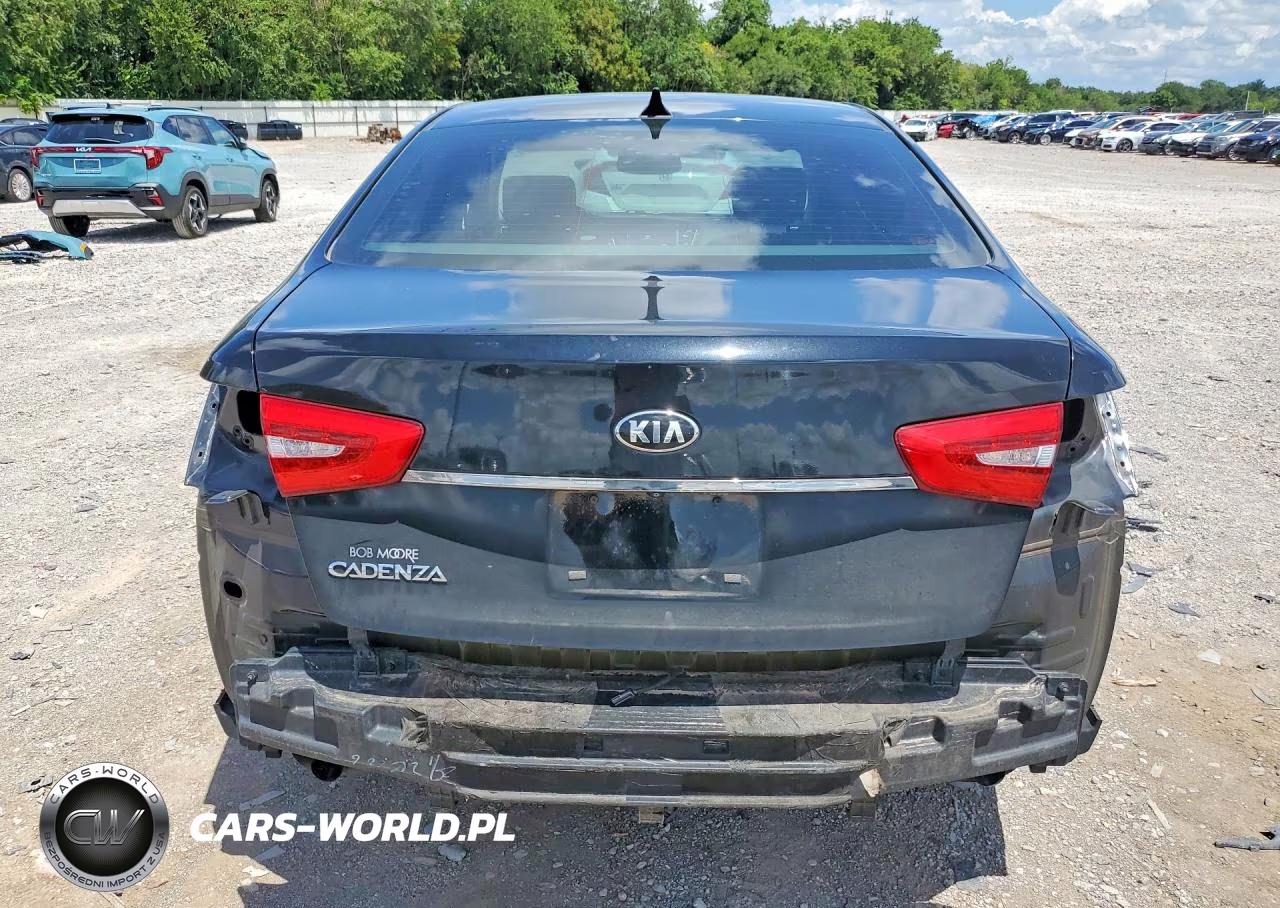 2014 Kia Cadenza Premium VIN:KNALN4D76E5149047 - 6