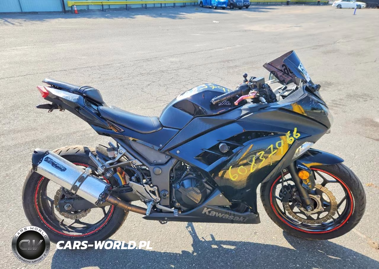 2014 Kawasaki Ex300 B – zdjęcie 1 z 9