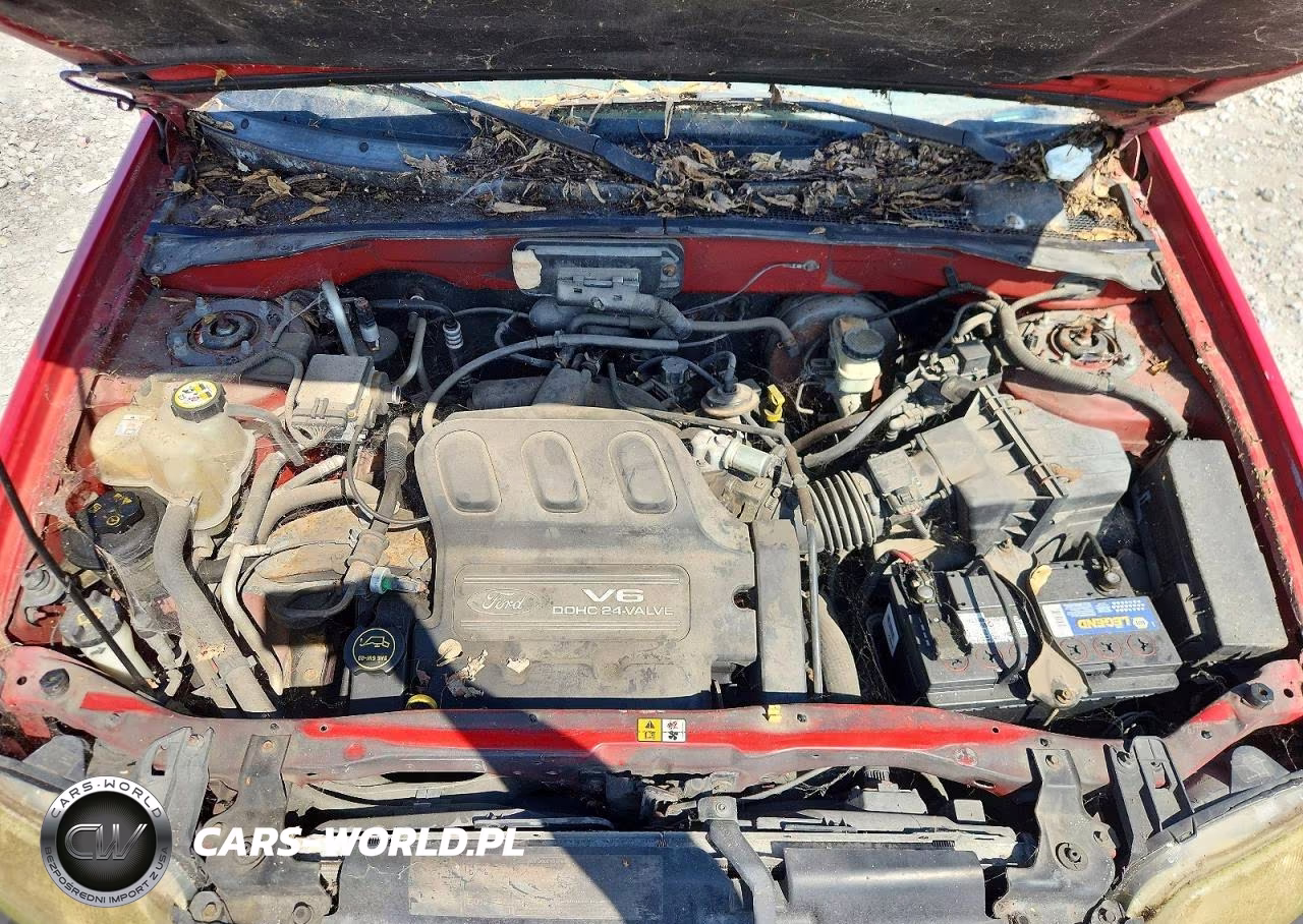 2002 Ford Escape Xlt VIN:1FMYU031X2KC61389 - 12