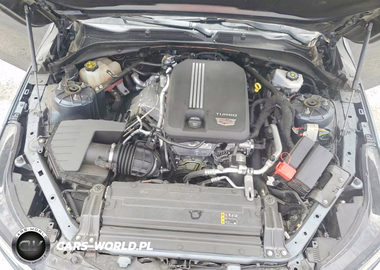 2022 Cadillac Ct4 Luxury VIN:1G6DA5RKXN0113903 - 11