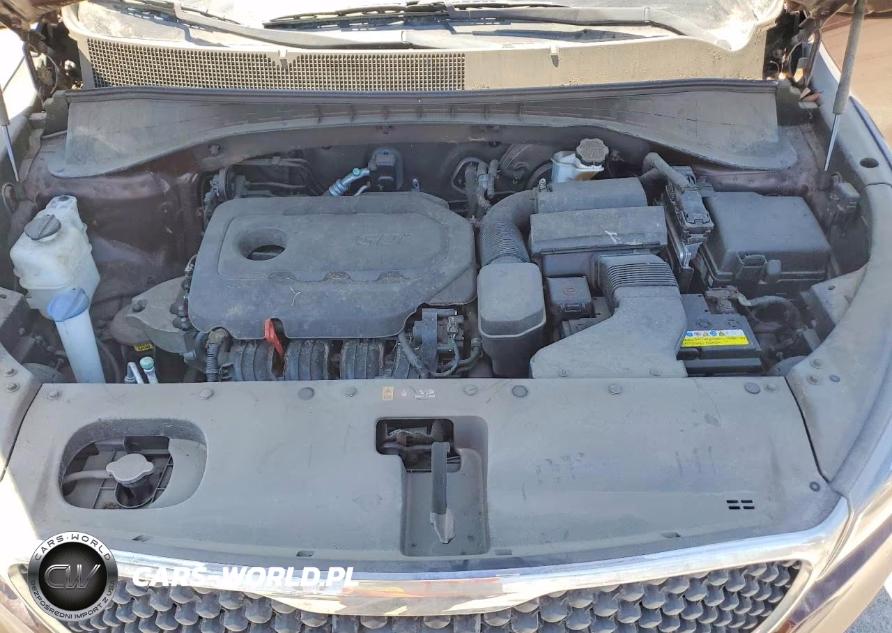 2017 Kia Sorento VIN:5XYPG4A38HG253485 - 12