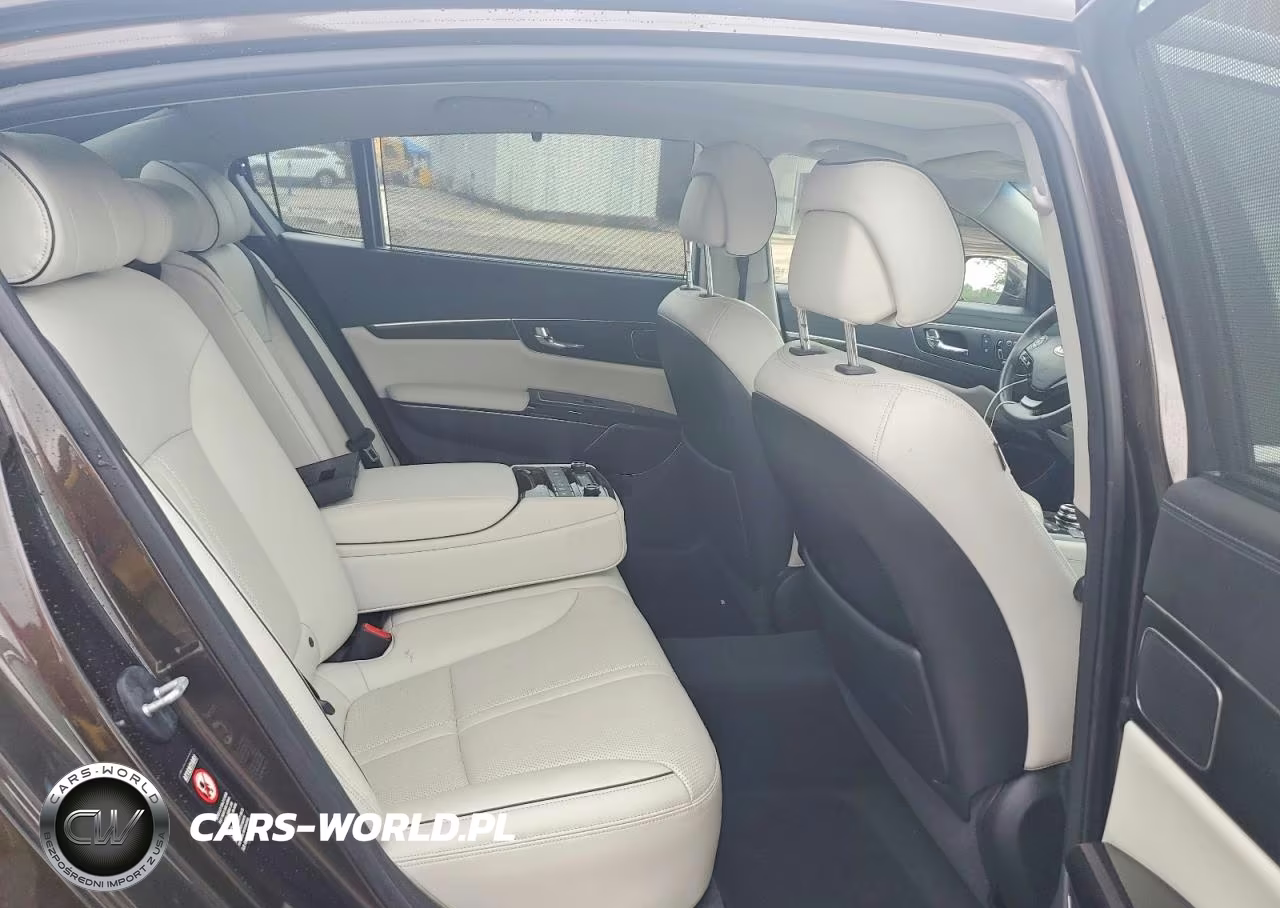 2015 Kia K900 Luxury VIN:KNALW4D41F6018526 - 10