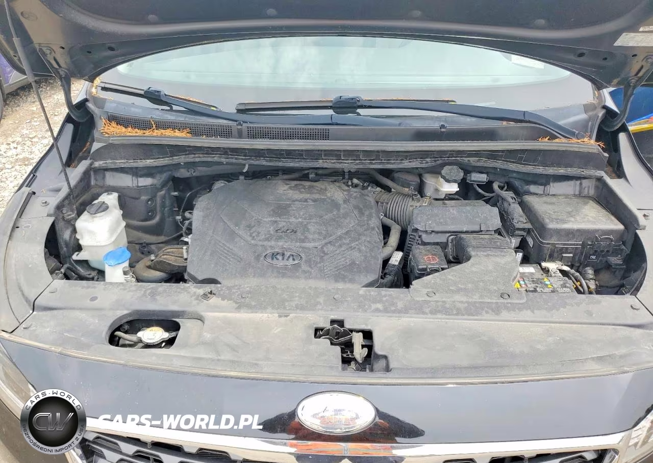 2019 Kia Sedona Ex VIN:KNDMB5C1XK6522065 - 12