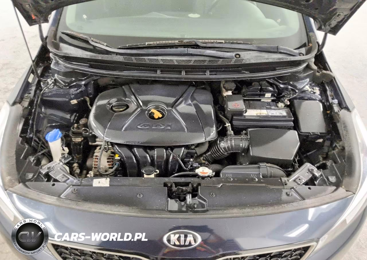 2017 Kia Forte Lx VIN:KNAFK5A87H5725516 - 11