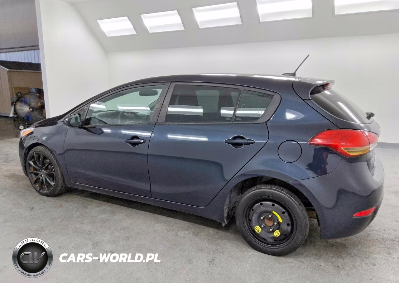 2017 Kia Forte Lx VIN:KNAFK5A87H5725516 - 2