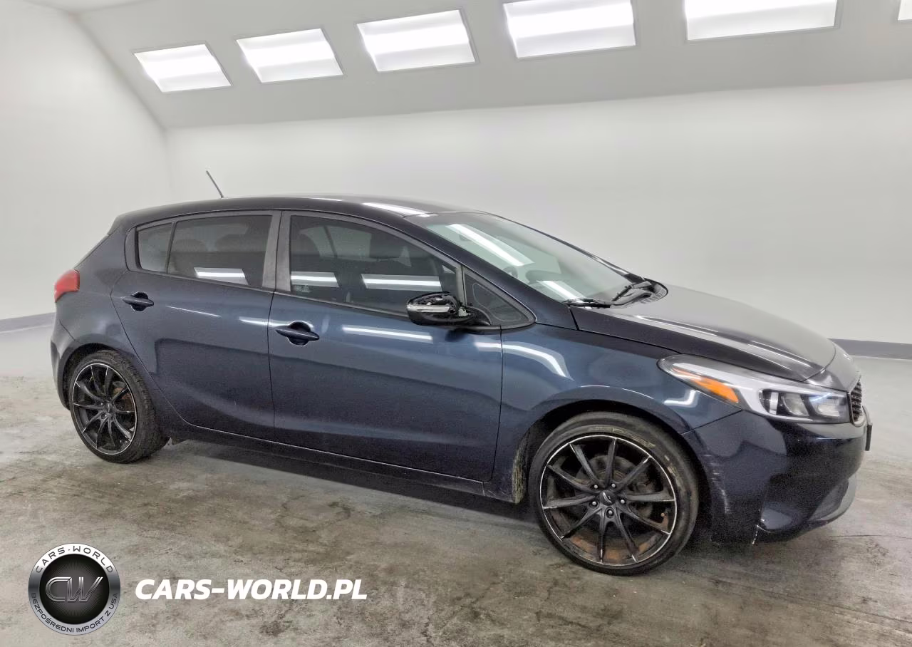2017 Kia Forte Lx VIN:KNAFK5A87H5725516 - 4