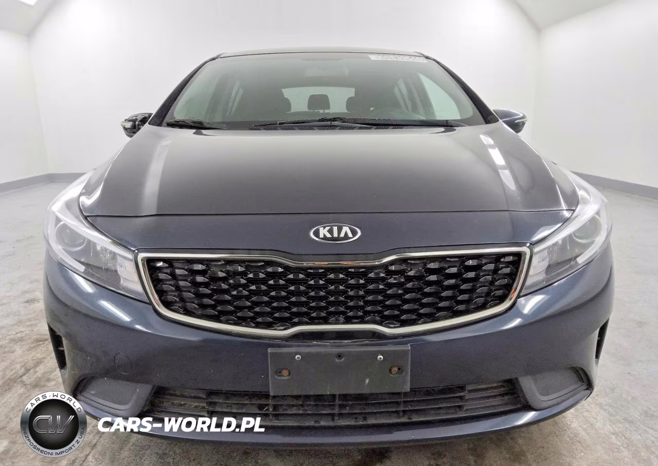 2017 Kia Forte Lx VIN:KNAFK5A87H5725516 - 5
