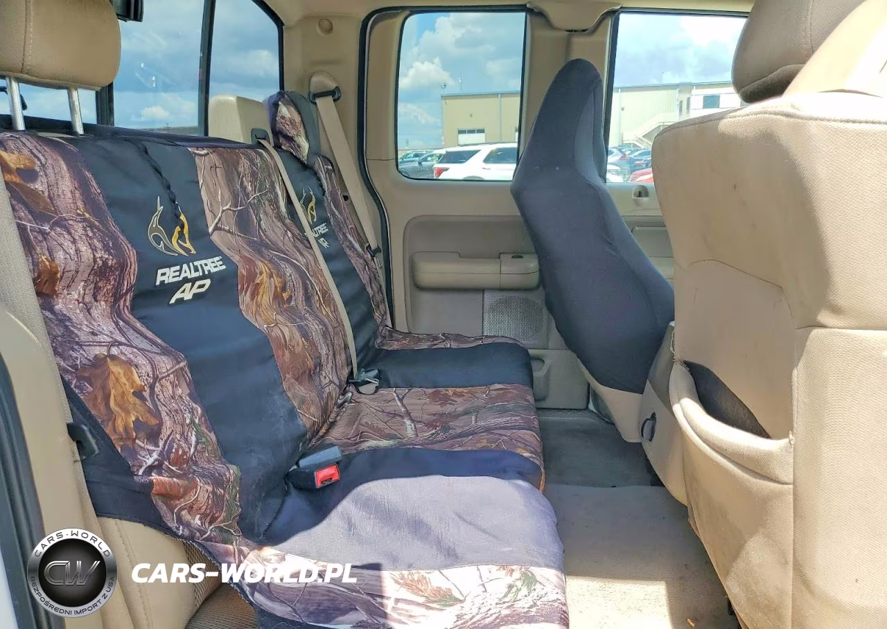 2005 Ford F150 VIN:1FTRX12W35NC03405 - 10
