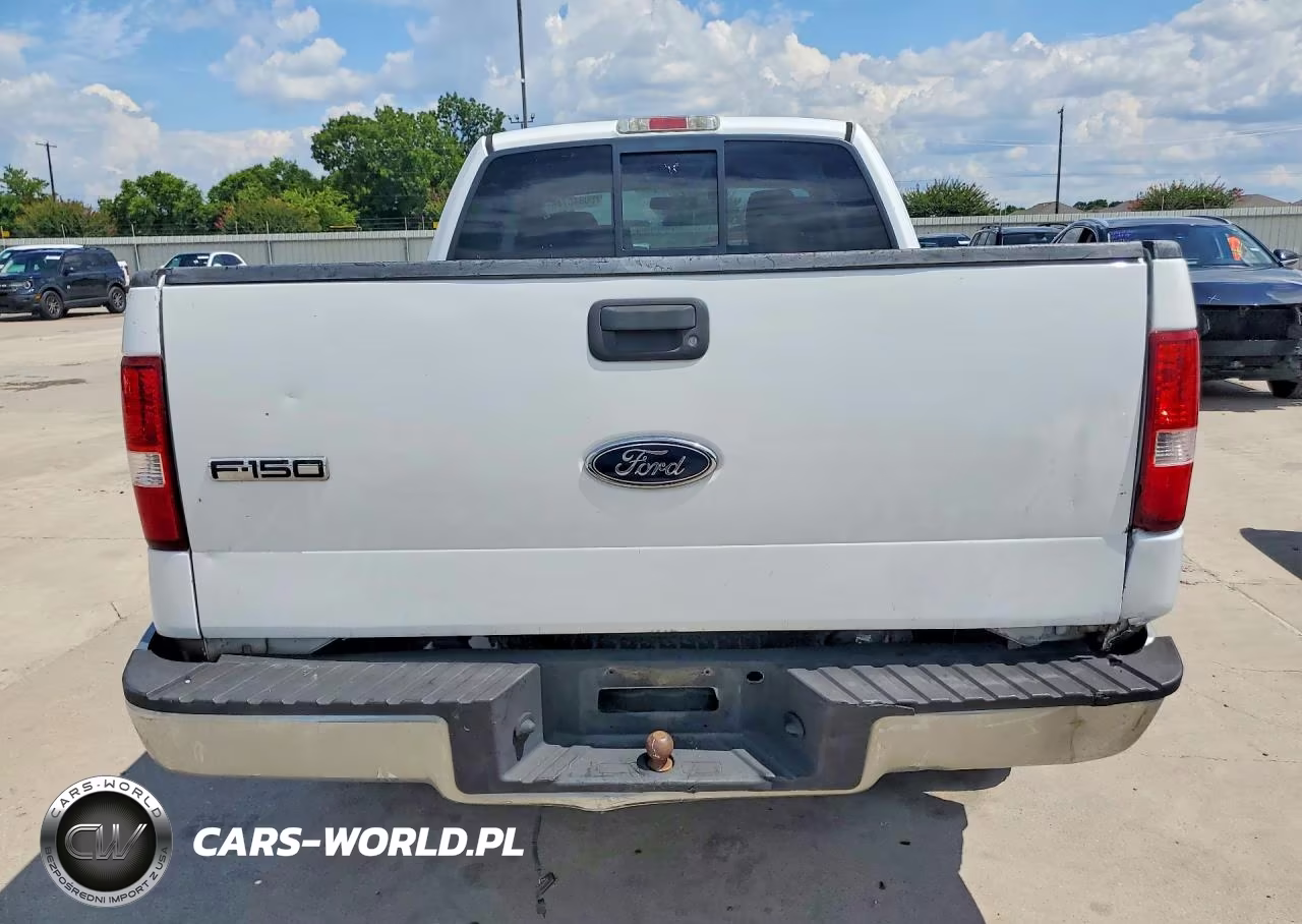 2005 Ford F150 VIN:1FTRX12W35NC03405 - 6