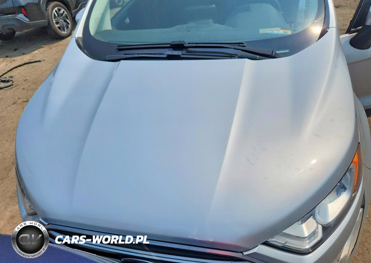 2020 Ford Ecosport Se VIN:MAJ3S2GE4LC376648 - 12