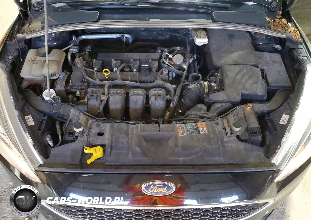 2018 Ford Focus Se VIN:1FADP3F29JL211341 - 11