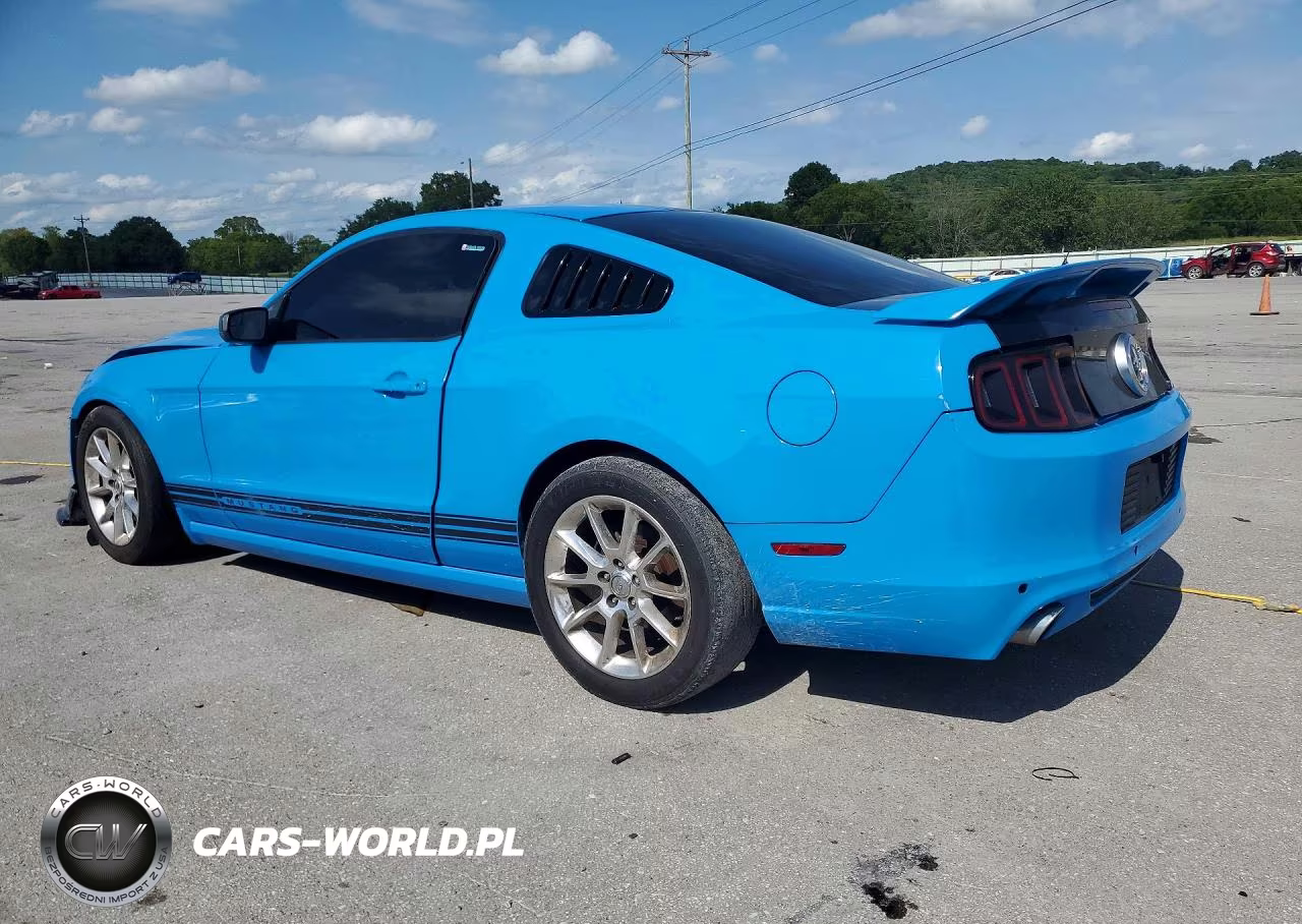2014 Ford Mustang VIN:1ZVBP8AM0E5245120 - 2