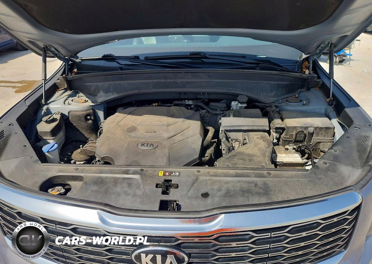 2020 Kia Telluride Sx VIN:5XYP54HC8LG078269 - 12