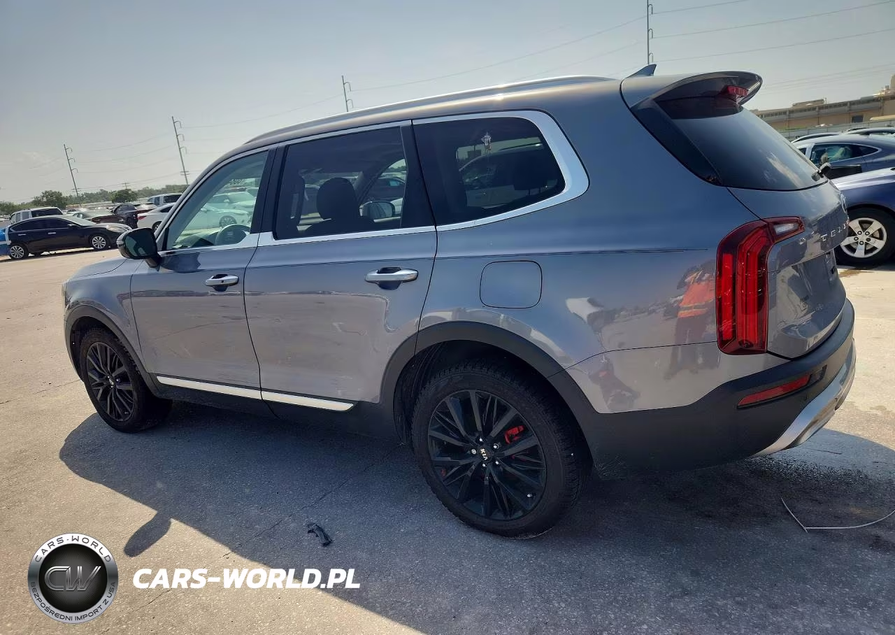 2020 Kia Telluride Sx VIN:5XYP54HC8LG078269 - 2