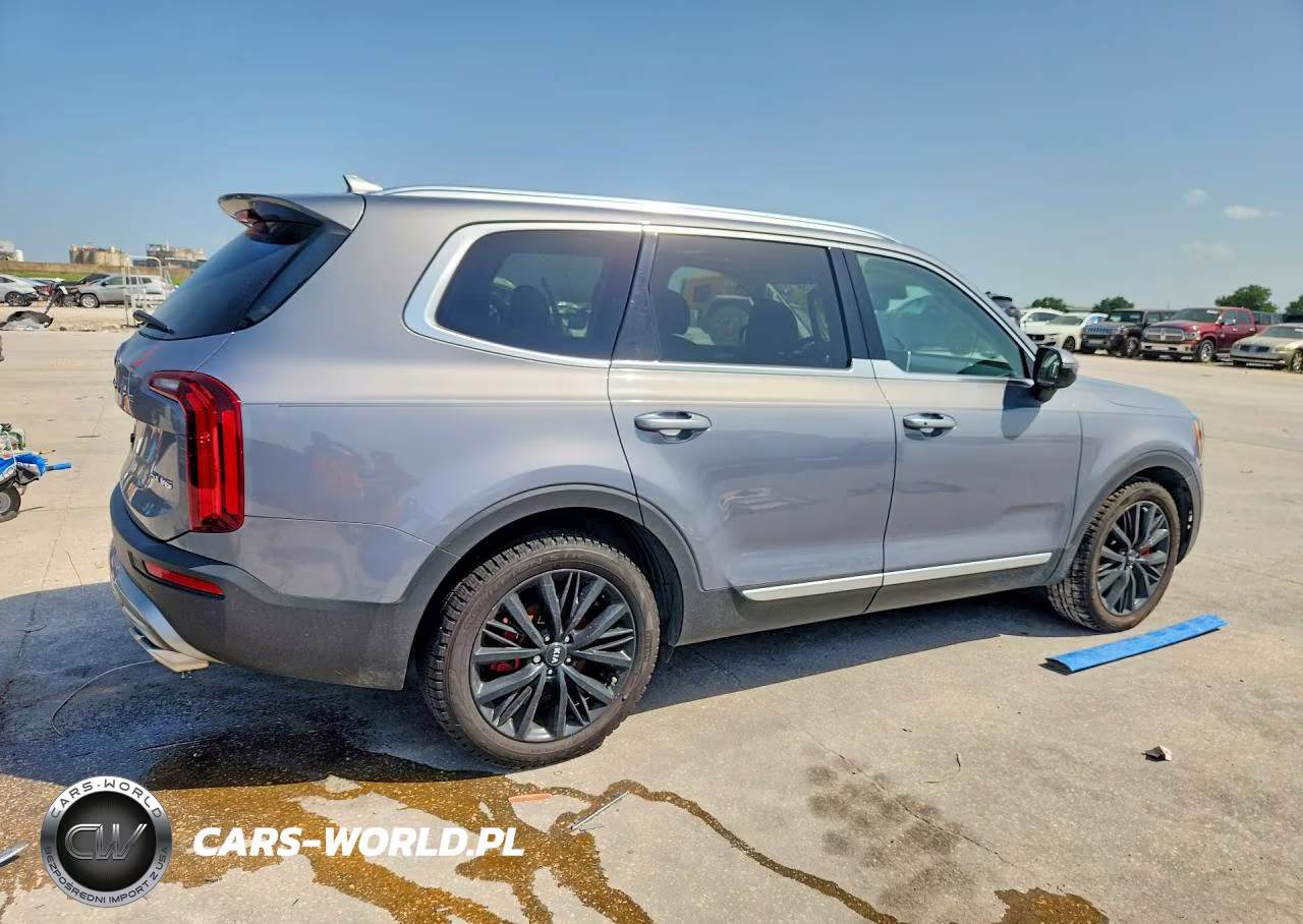 2020 Kia Telluride Sx VIN:5XYP54HC8LG078269 - 3