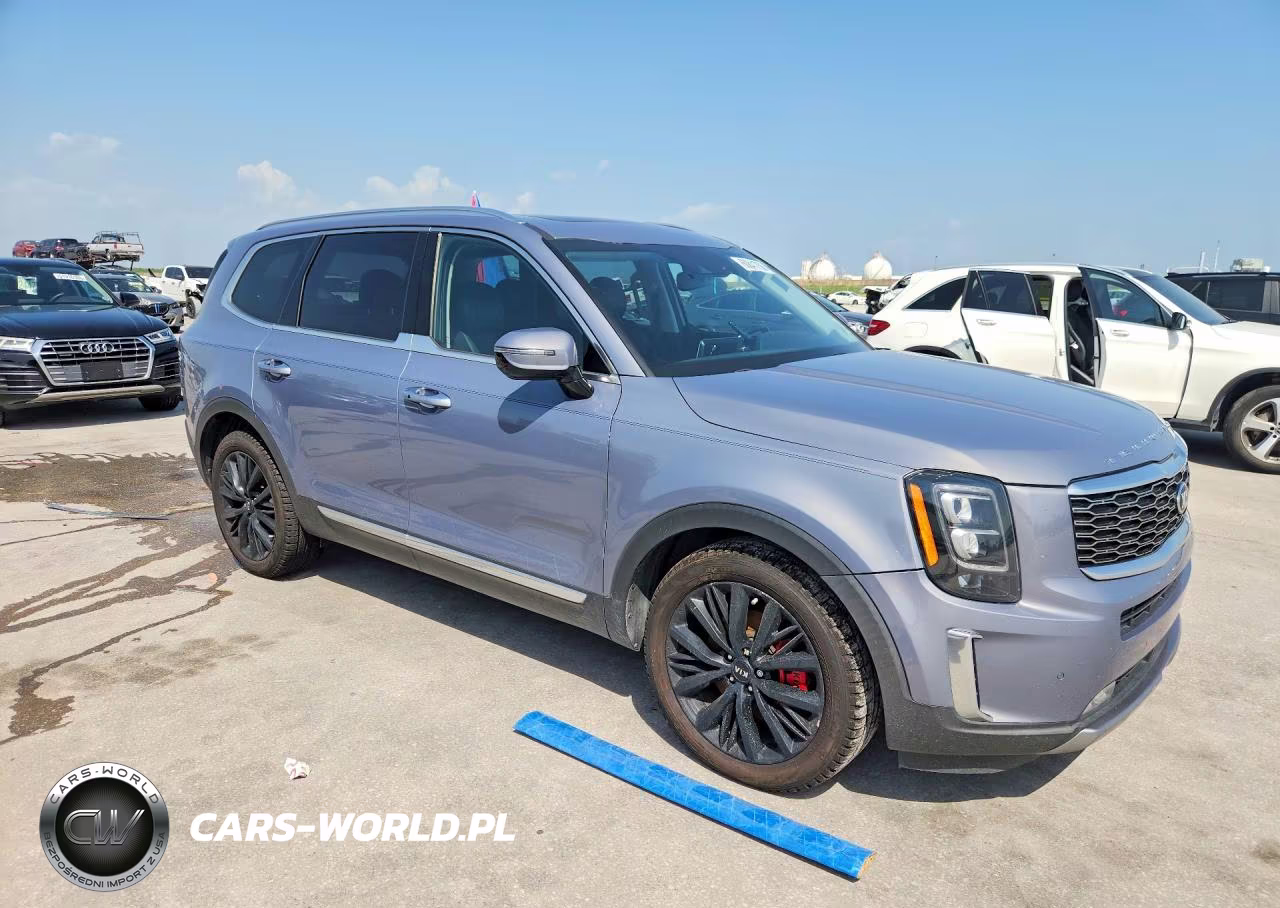 2020 Kia Telluride Sx VIN:5XYP54HC8LG078269 - 4