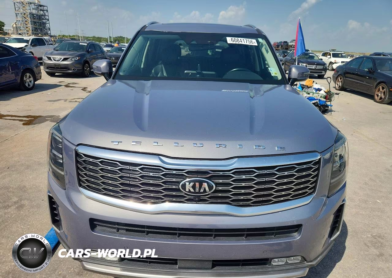 2020 Kia Telluride Sx VIN:5XYP54HC8LG078269 - 5