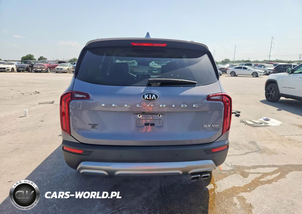 2020 Kia Telluride Sx VIN:5XYP54HC8LG078269 - 6