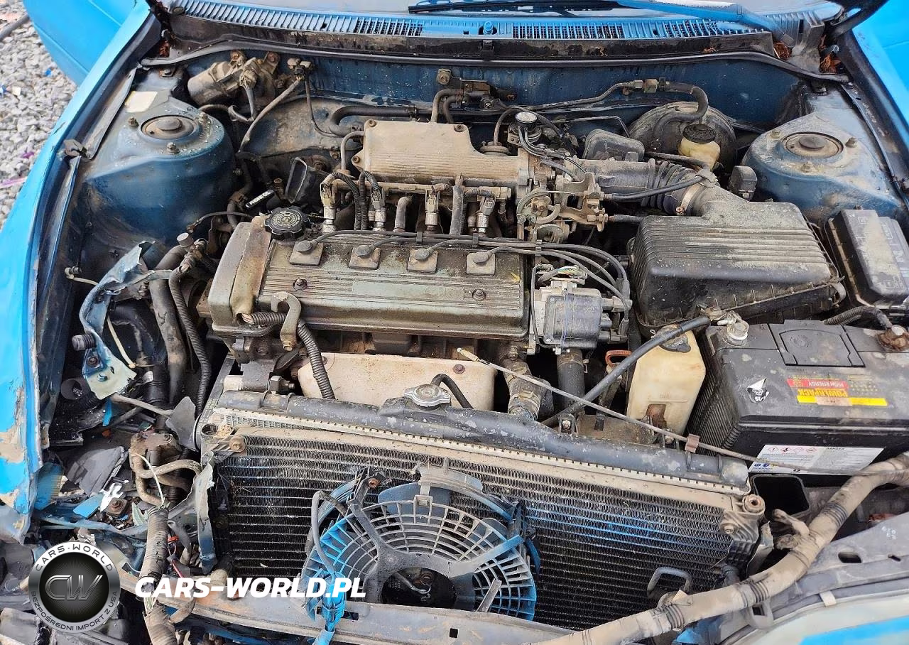 1994 Toyota Corolla Dx VIN:2T1AE09B0RC049244 - 11