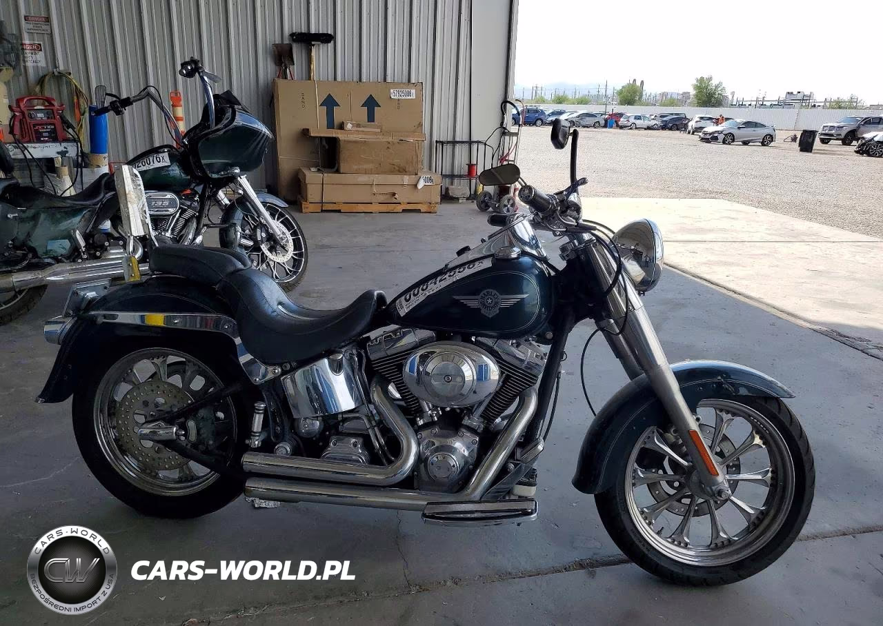 2002 Harley-Davidson Flstfi