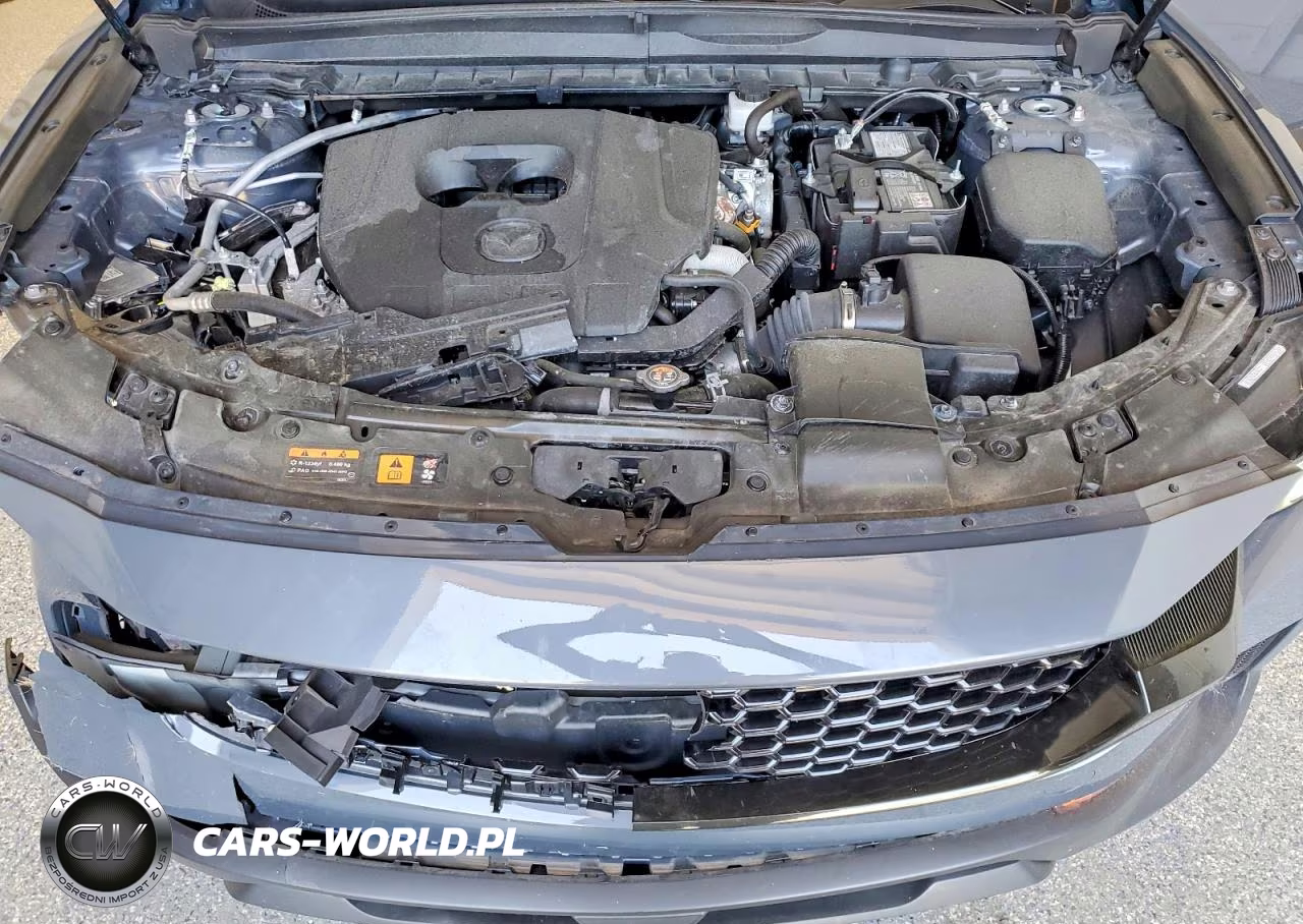 2025 Mazda Cx-50 Premium Plus VIN:7MMVABEMXSN374874 - 12