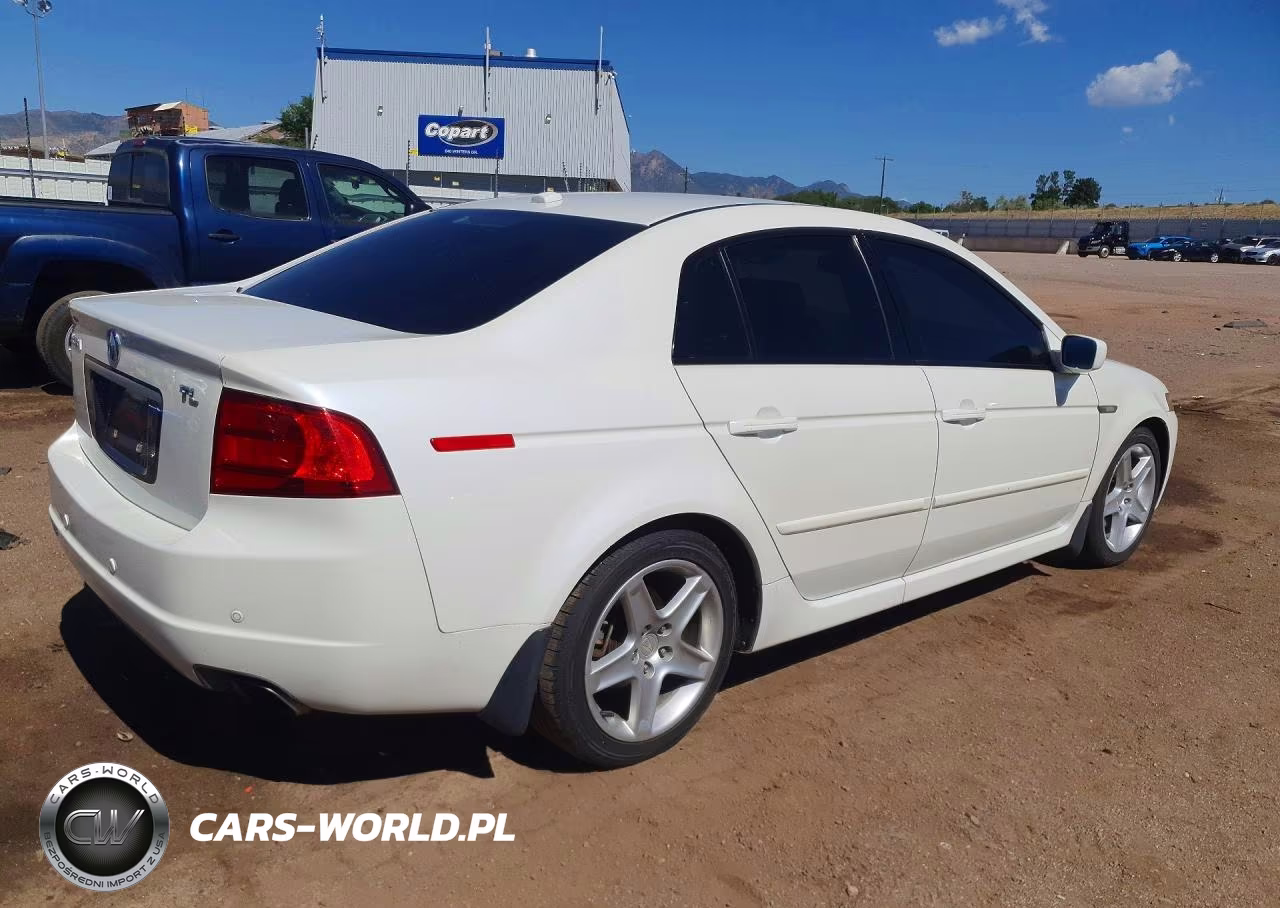 2006 Acura 3.2Tl VIN:19UUA66206A019209 - 3