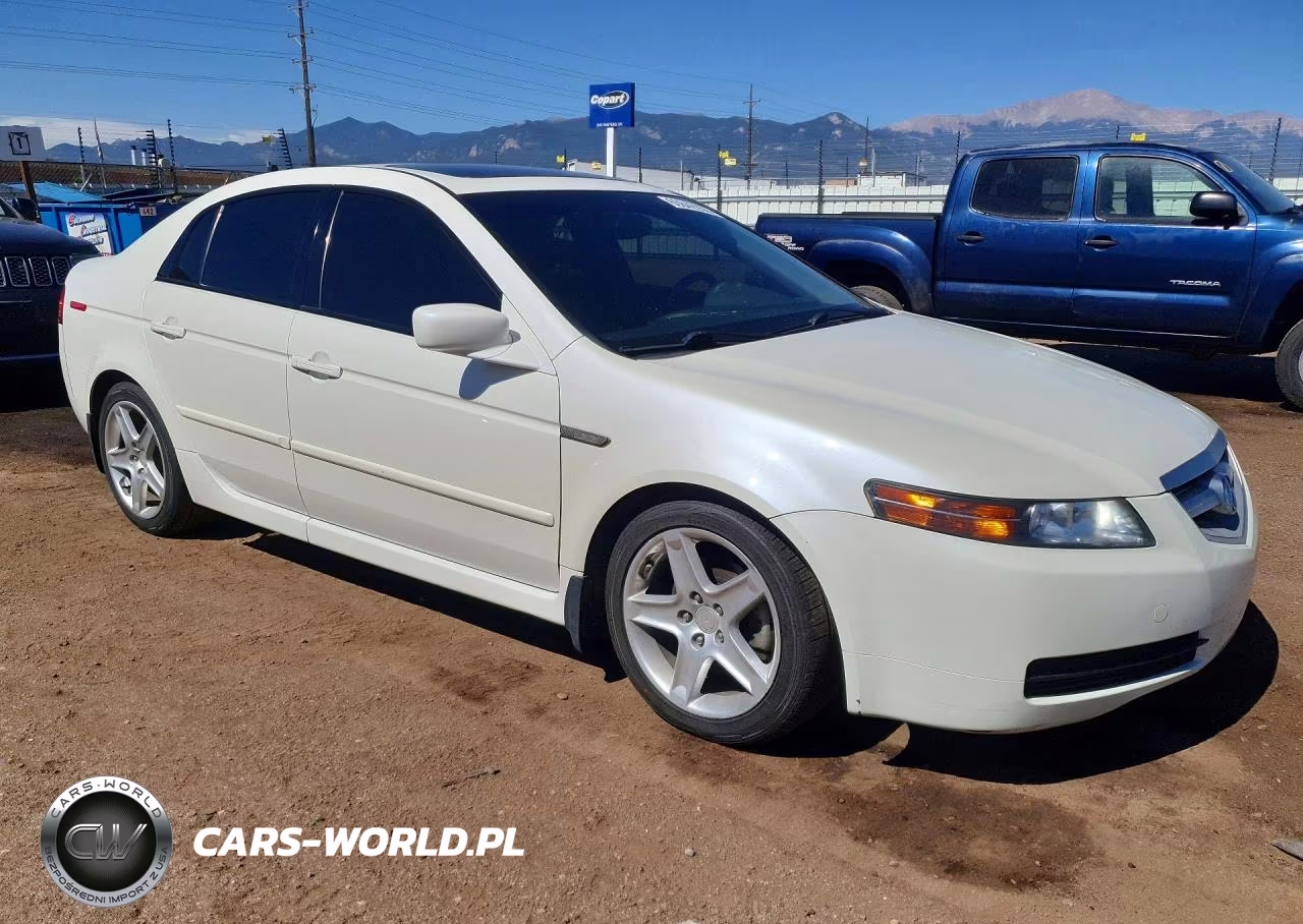 2006 Acura 3.2Tl VIN:19UUA66206A019209 - 4