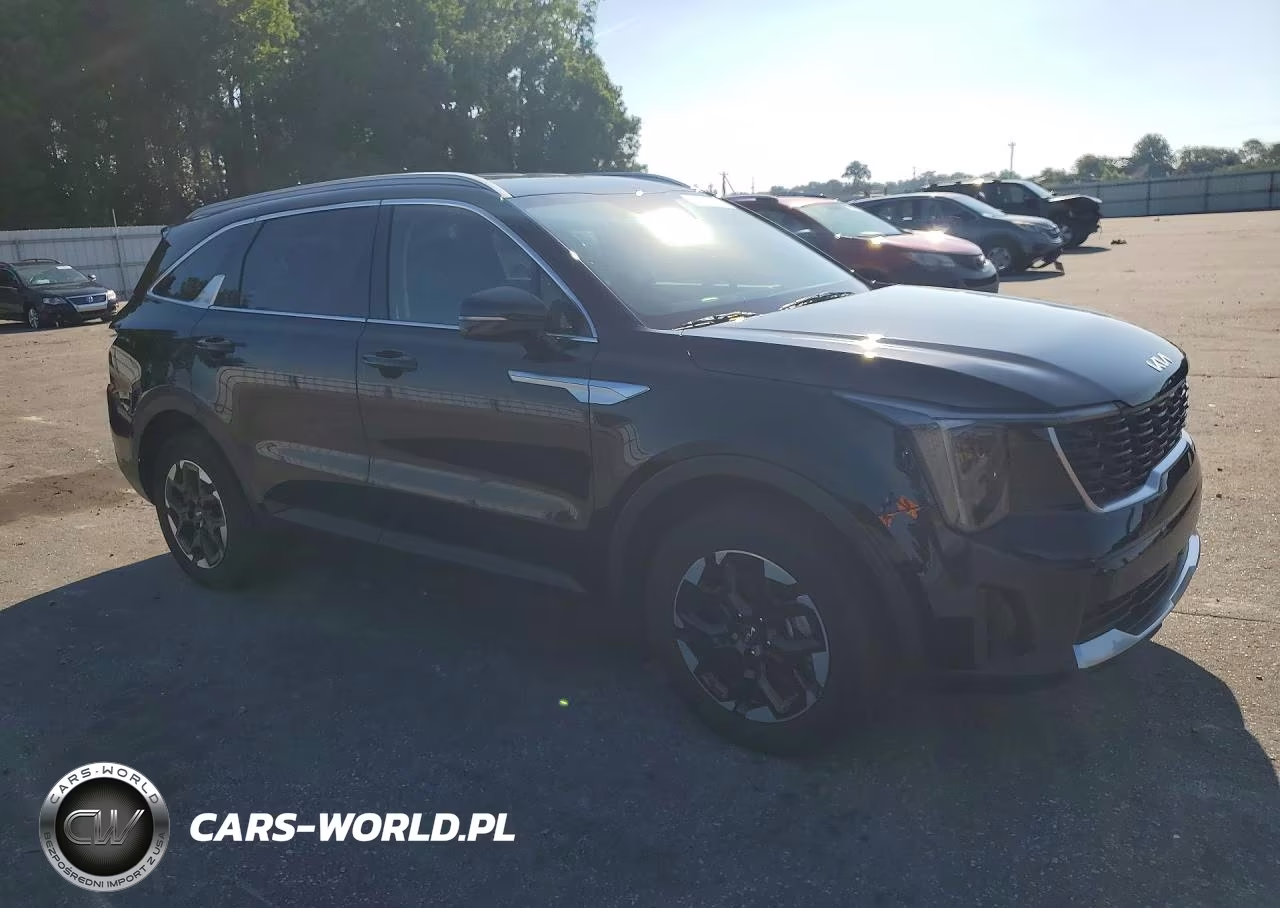 2024 Kia Sorento S VIN:5XYRLDJC3RG303313 - 4