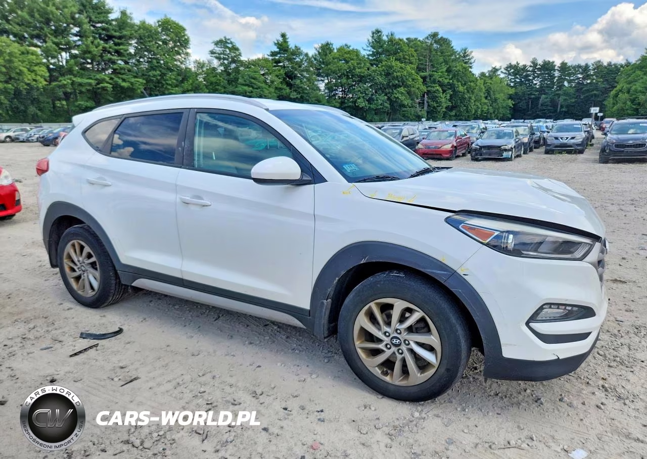 2017 Hyundai Tucson Se VIN:KM8J3CA4XHU371441 - 4