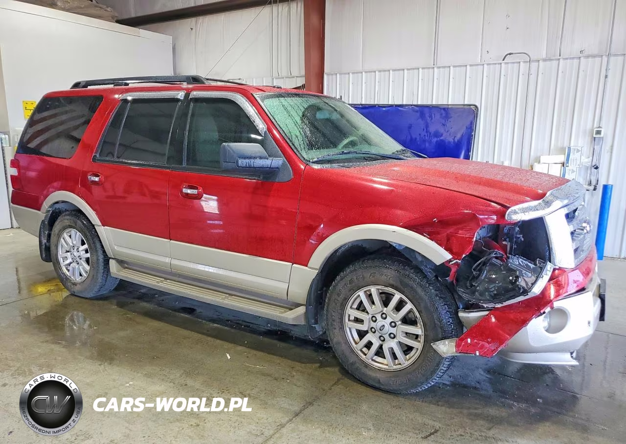 2009 Ford Expedition Eddie Bauer VIN:1FMFU18539LA02496 - 4
