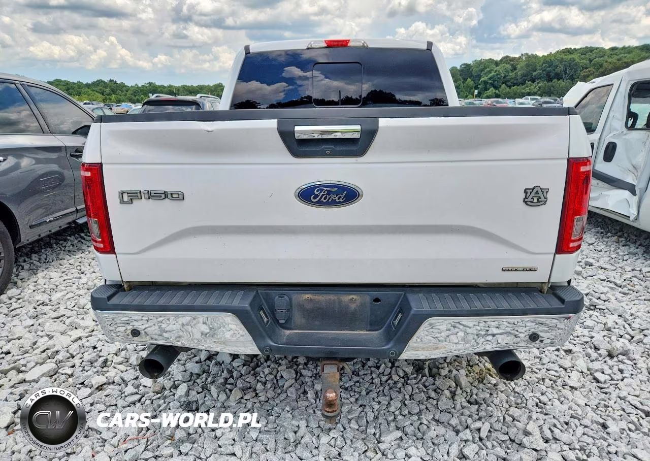 2015 Ford F150 Supercrew VIN:1FTEW1CF6FKE98373 - 6