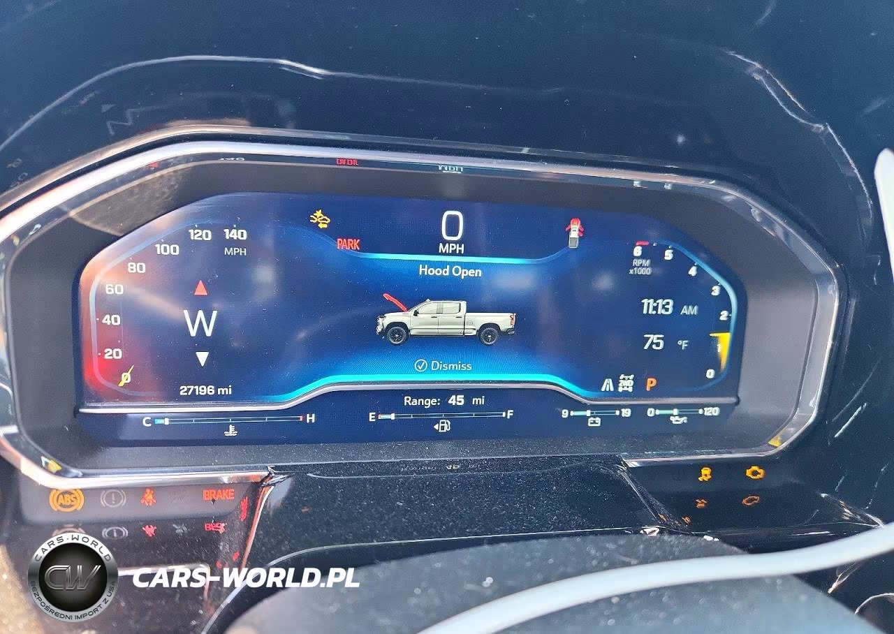 2023 Chevrolet Silverado K1500 Lt Trail Boss VIN:3GCUDFEL1PG315827 - 9