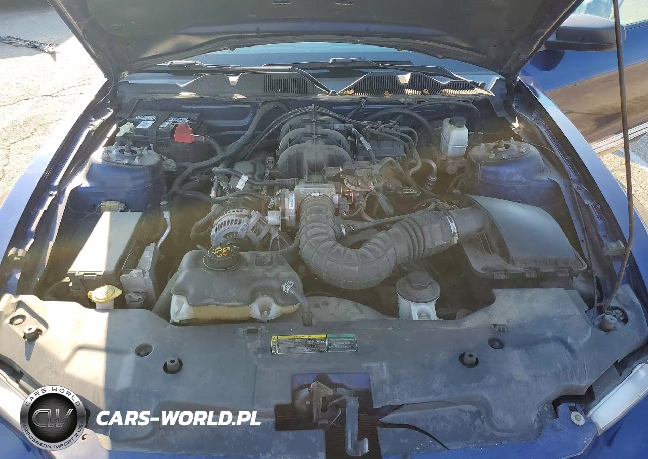 2010 Ford Mustang VIN:1ZVBP8EN4A5178499 - 11