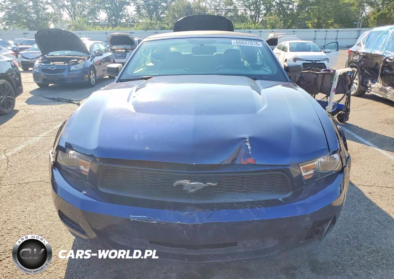 2010 Ford Mustang VIN:1ZVBP8EN4A5178499 - 5