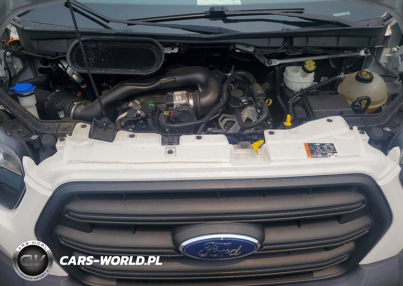 2020 Ford Transit T-250 VIN:1FTBR1X84LKA83666 - 12
